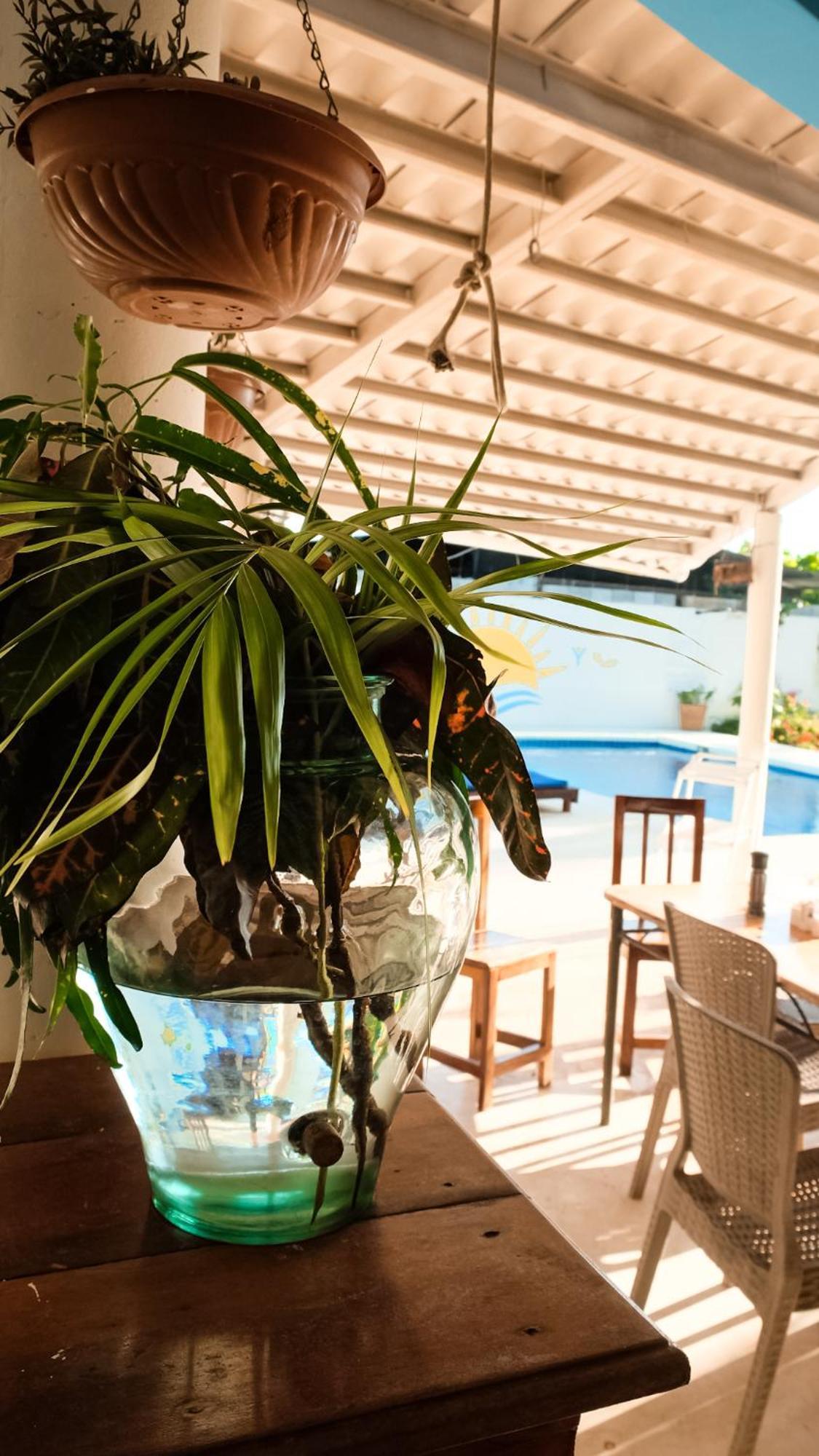 Hotel Sol Y Mar Santa Catalina Exterior photo